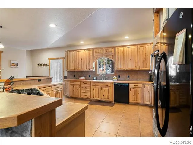 412 Evergreen Road Black Hawk, CO 80422
