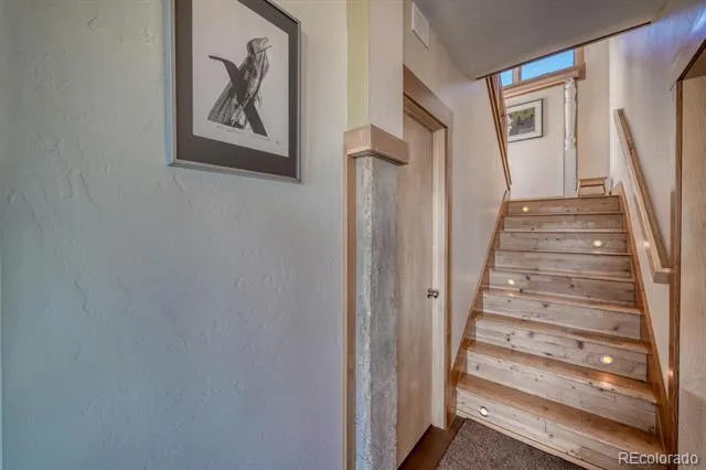 30140 Trails End Buena Vista, CO 81211