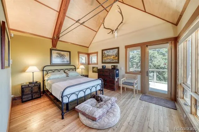 30140 Trails End Buena Vista, CO 81211