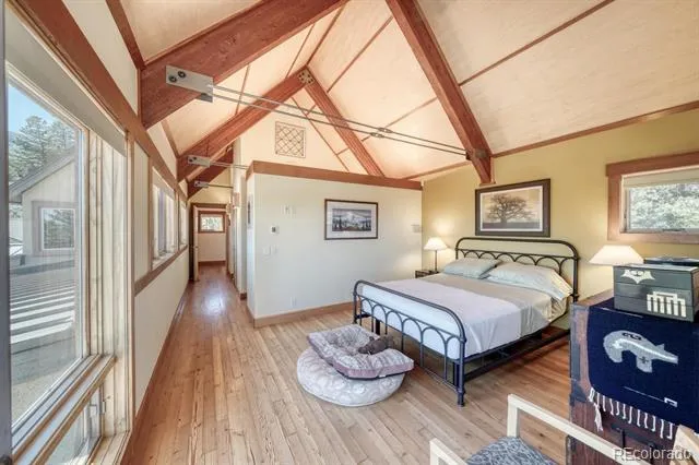 30140 Trails End Buena Vista, CO 81211