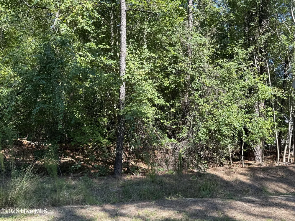 7657 Main Street West End, NC 27376