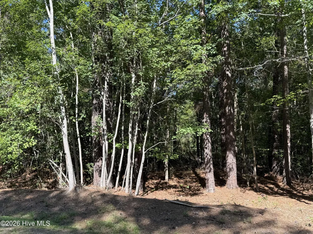 7657 Main Street West End, NC 27376