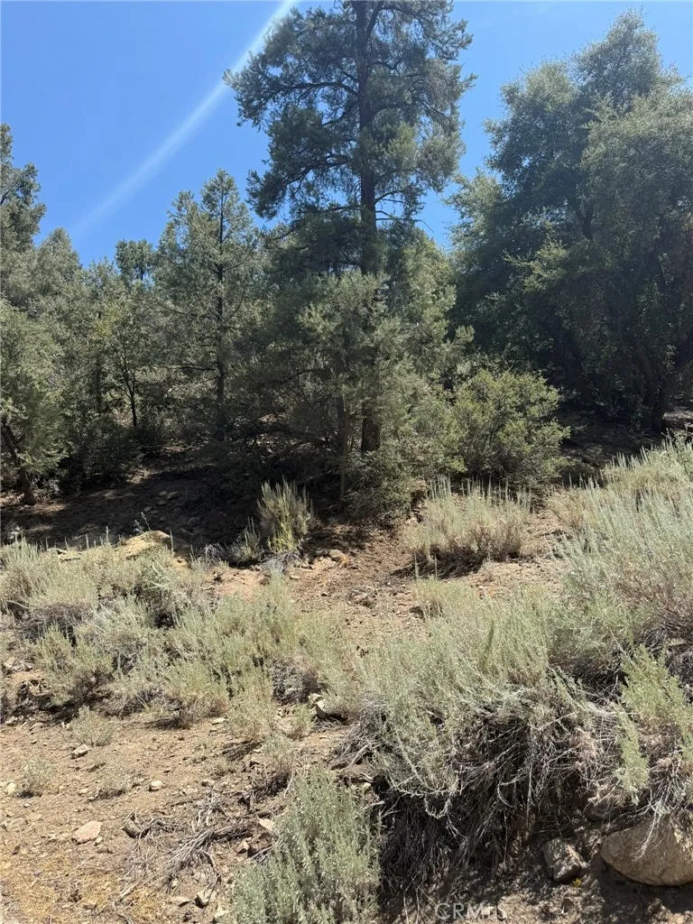 1912 Symonds Pine Mountain Club, CA 93222