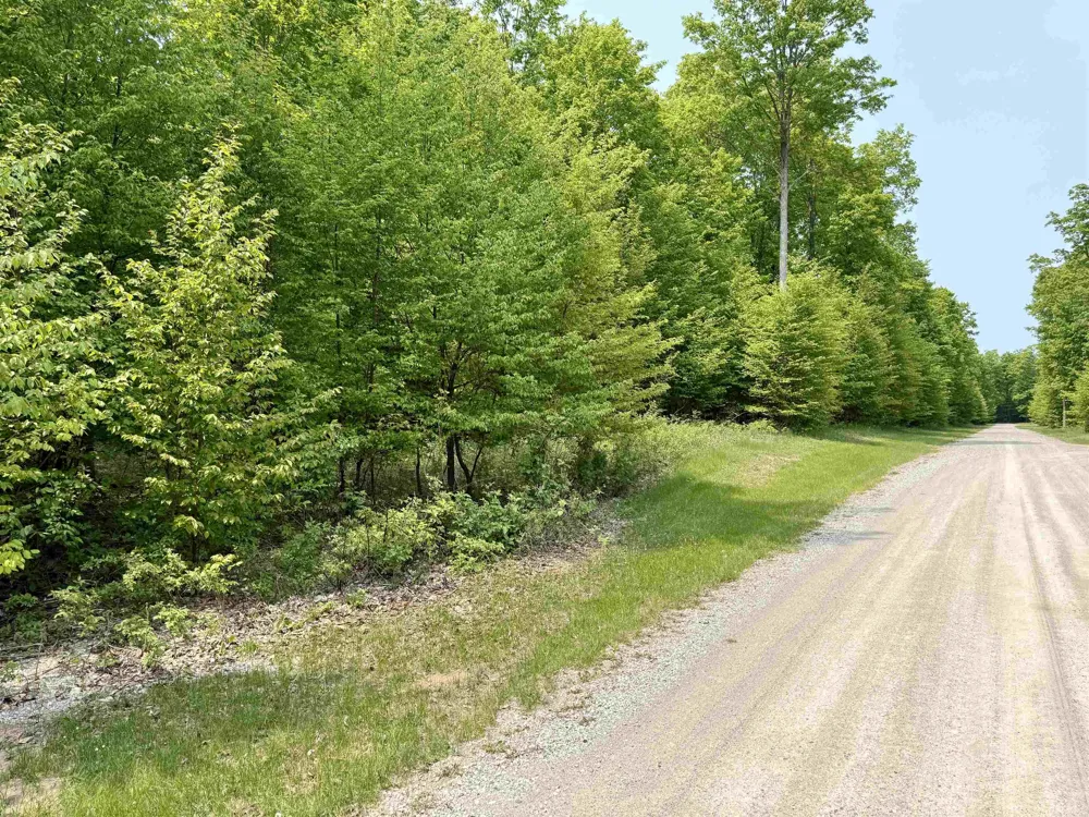 S Honeybee Road Empire Township, MI 49621
