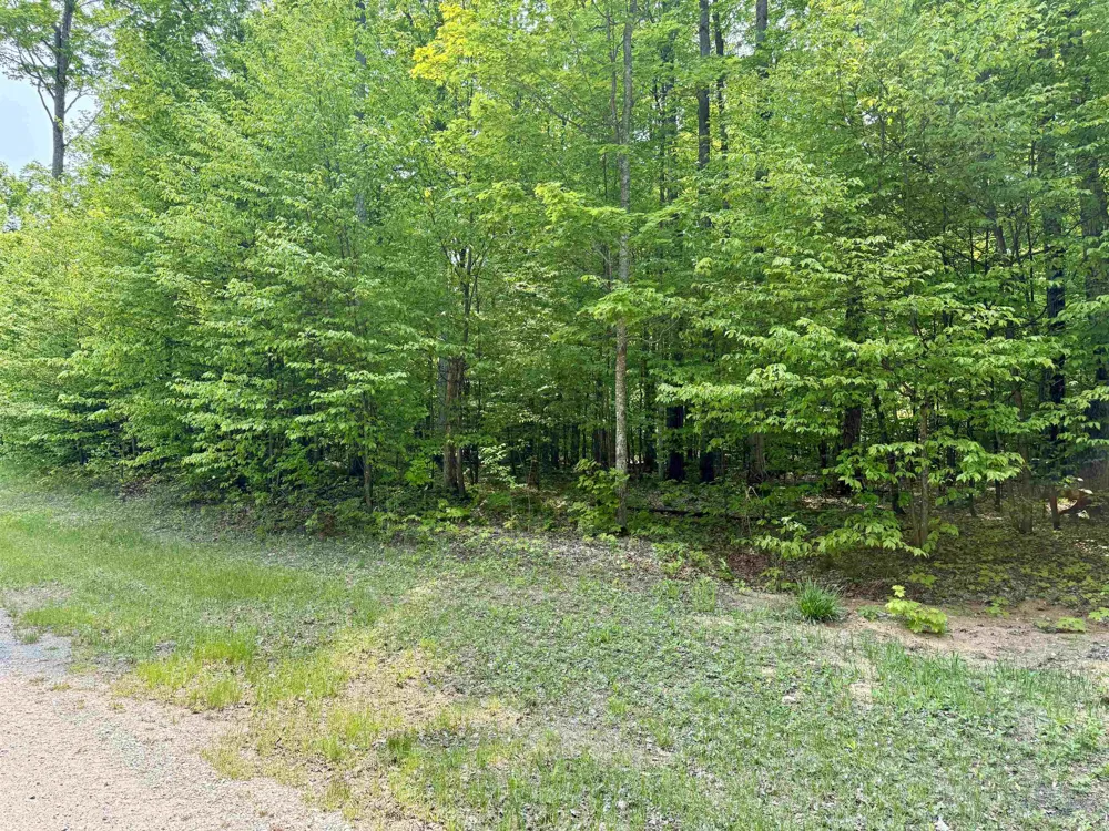 S Honeybee Road Empire Township, MI 49621