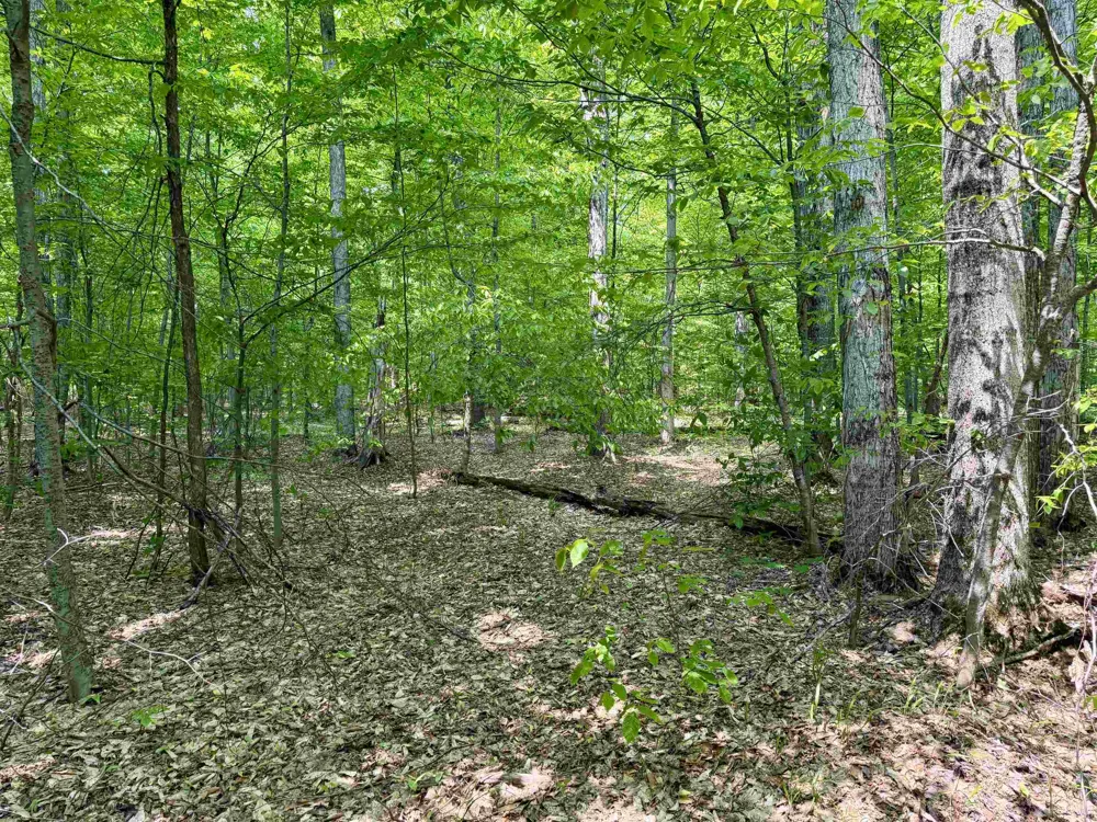 S Honeybee Road Empire Township, MI 49621