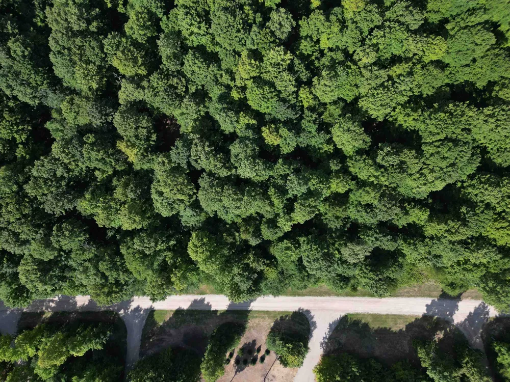 S Honeybee Road Empire Township, MI 49621