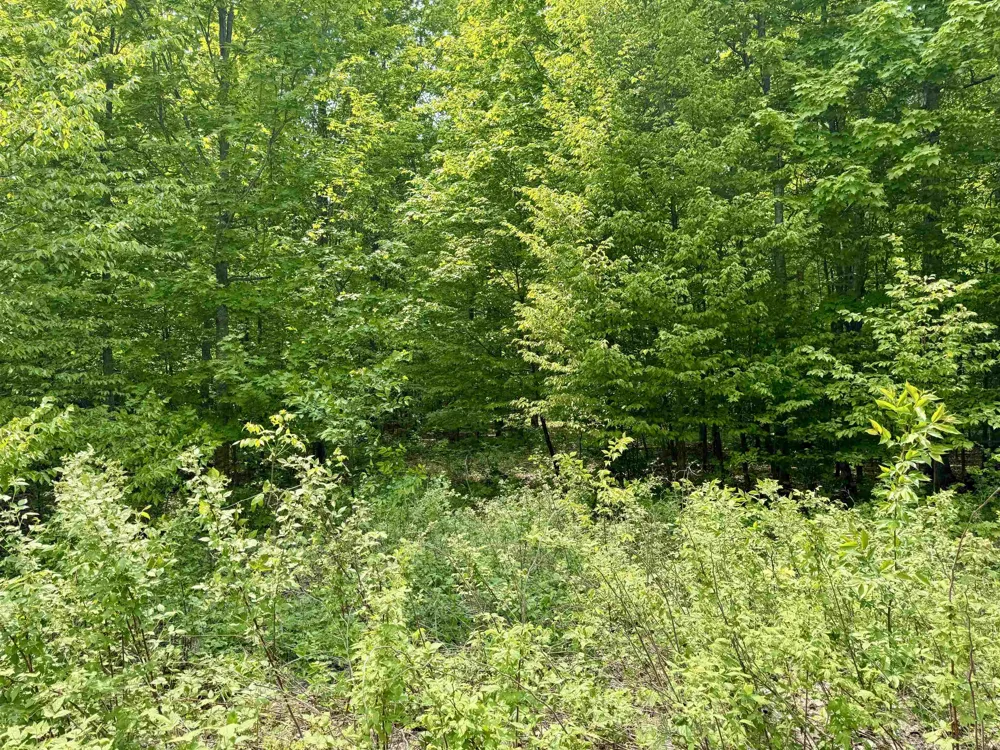 S Honeybee Road Empire Township, MI 49621