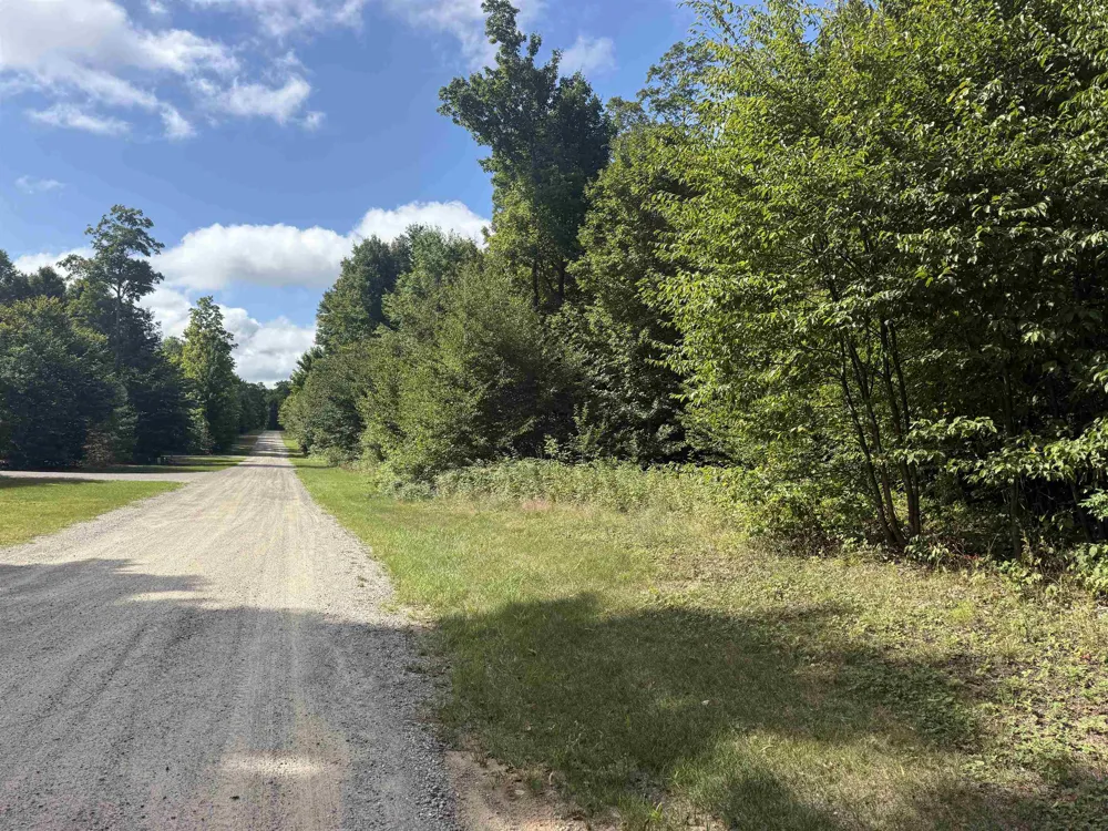 S Honeybee Road Empire Township, MI 49621