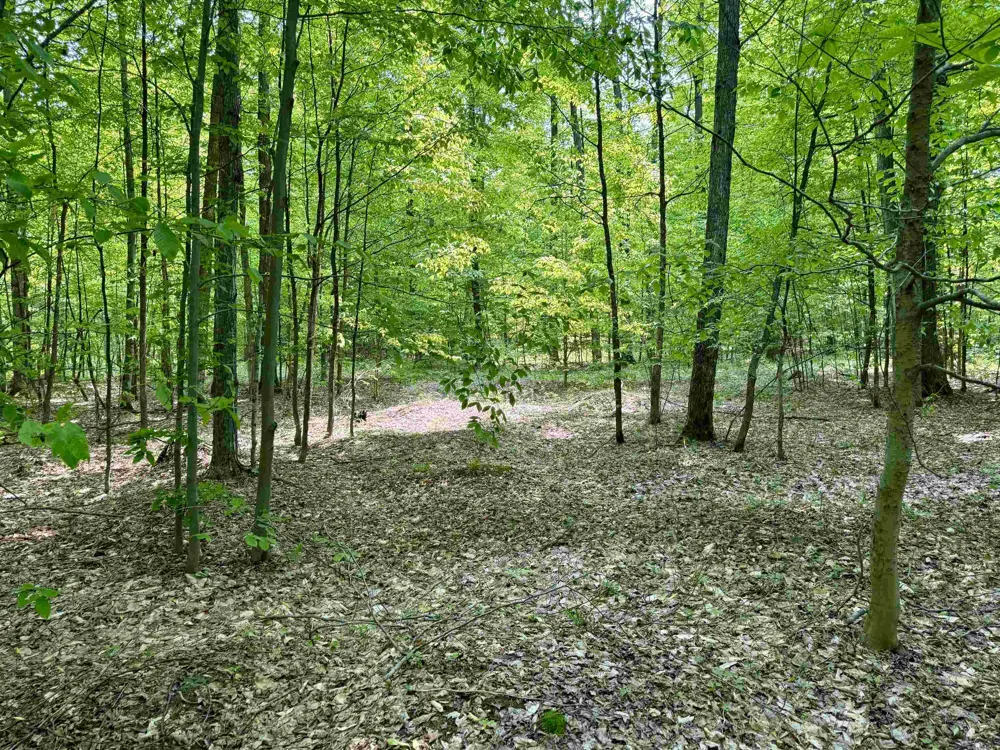S Honeybee Road Empire Township, MI 49621