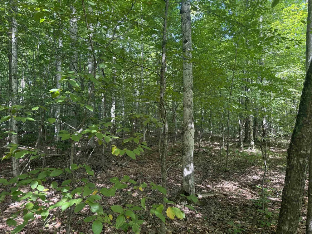 S Honeybee Road Empire Township, MI 49621