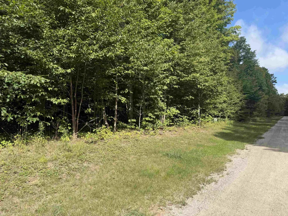 S Honeybee Road Empire Township, MI 49621