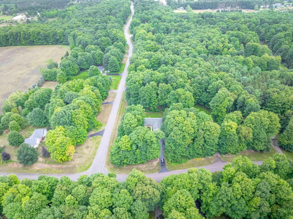 9479 Woodys Run Long Lake Township, MI 49684