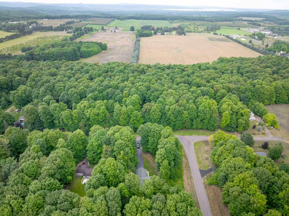 9479 Woodys Run Long Lake Township, MI 49684