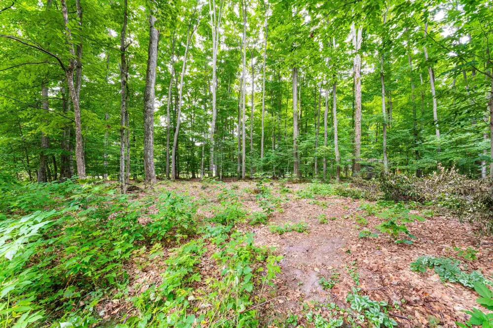 9479 Woodys Run Long Lake Township, MI 49684