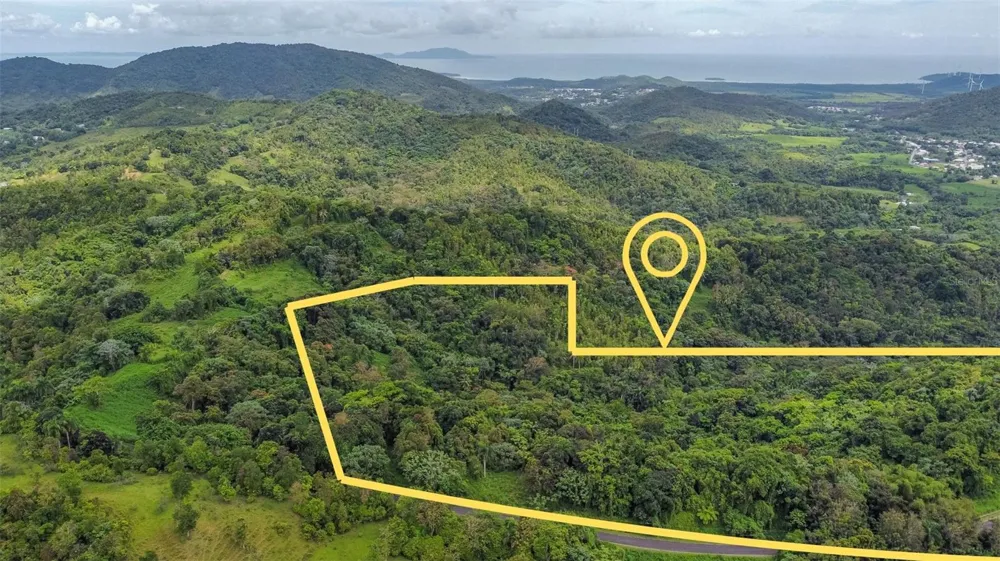 Address Not Shown Naguabo, PR 00718