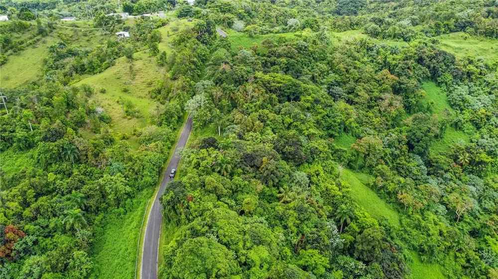 Address Not Shown Naguabo, PR 00718