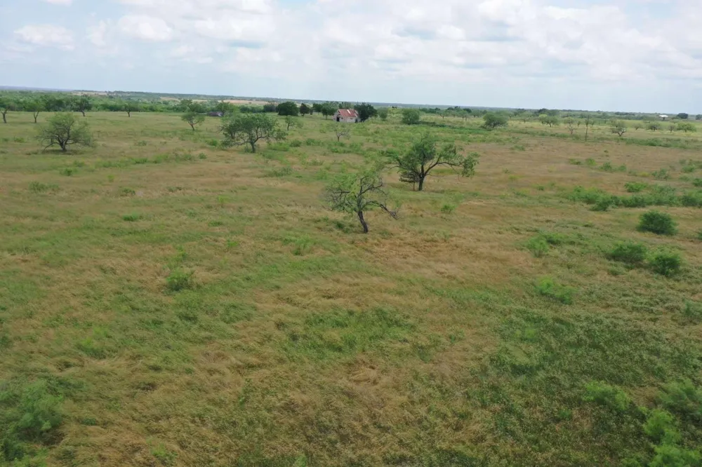 4889 Farm to Market Powell, TX 75153
