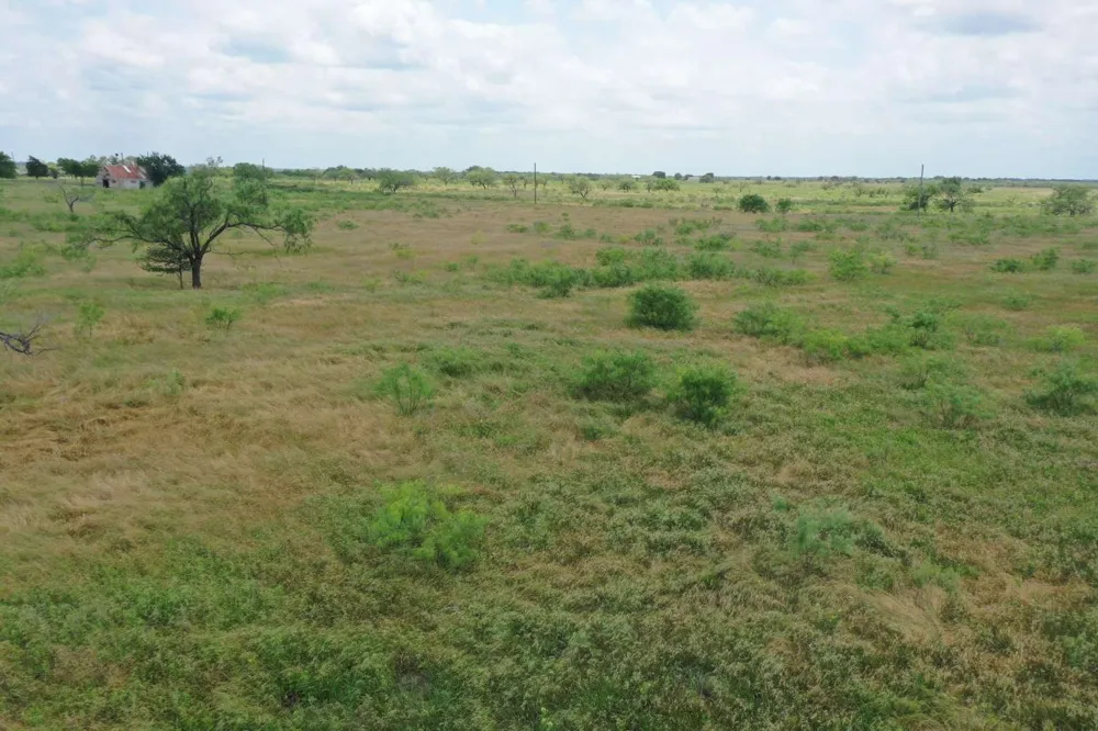 4889 Farm to Market Powell, TX 75153