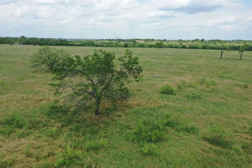 4889 Farm to Market Powell, TX 75153