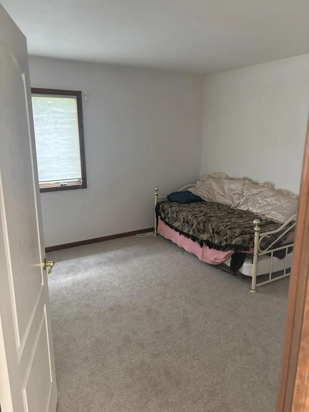 9216 Mirage Lake Drive Milan, MI 48160