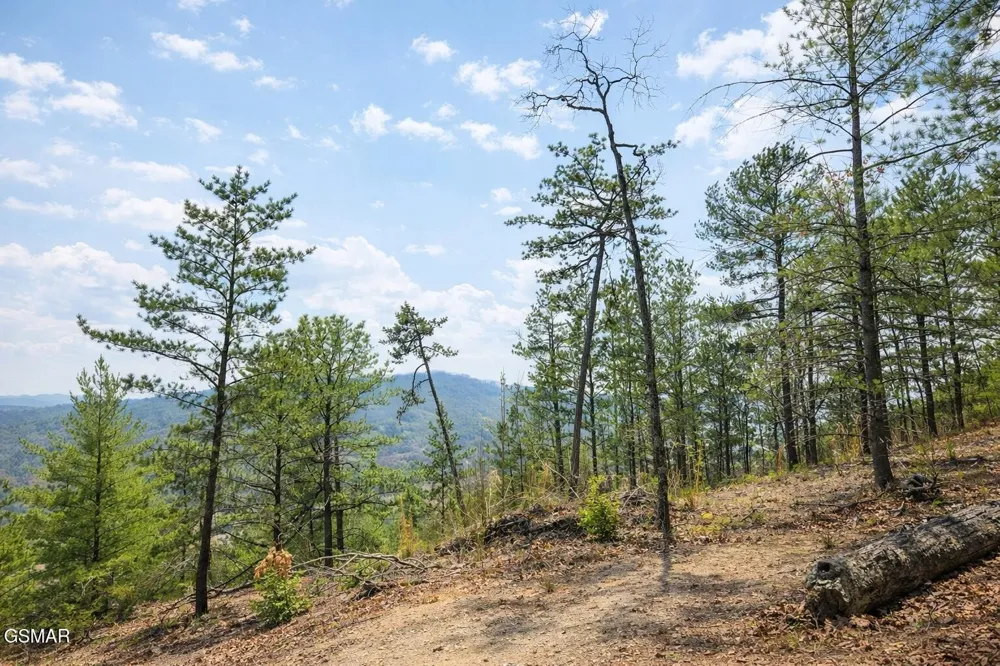 1 Sulpher Springs Way Sevierville, TN 37876