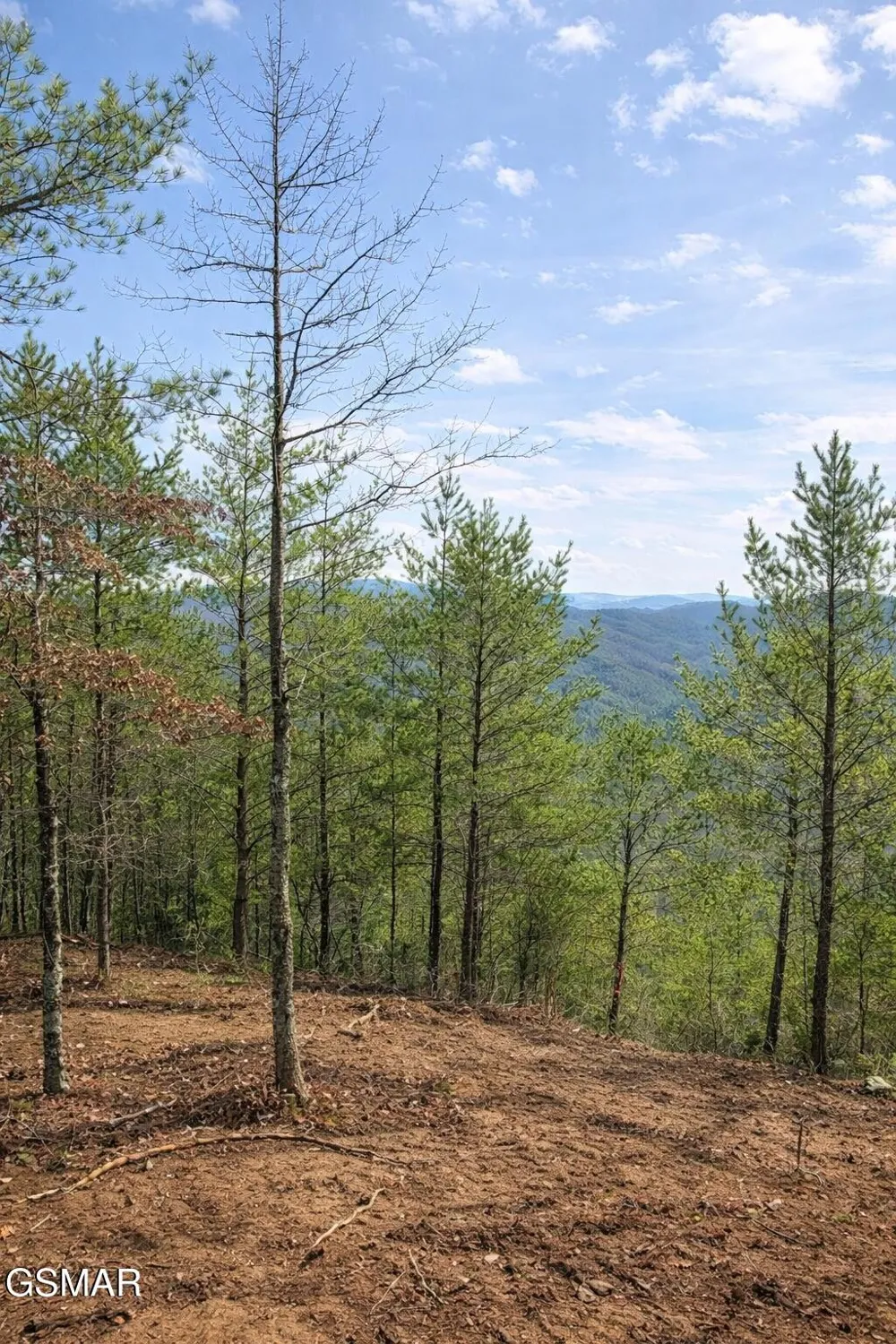 1 Sulpher Springs Way Sevierville, TN 37876