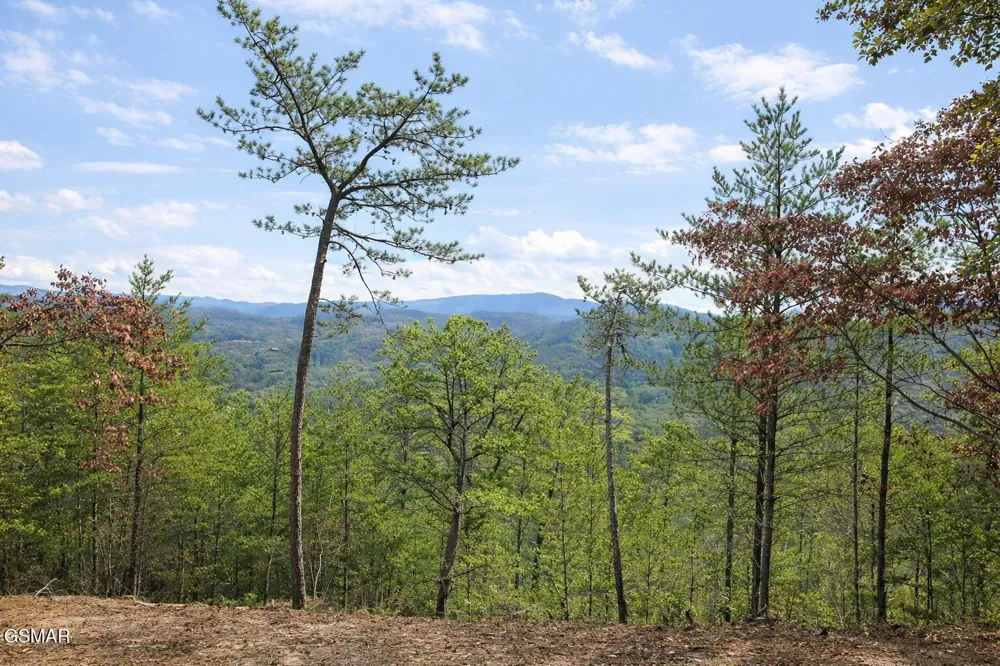 1 Sulpher Springs Way Sevierville, TN 37876