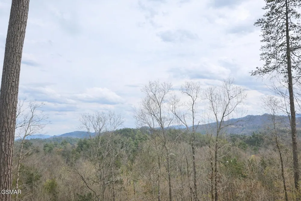 1 Sulpher Springs Way Sevierville, TN 37876