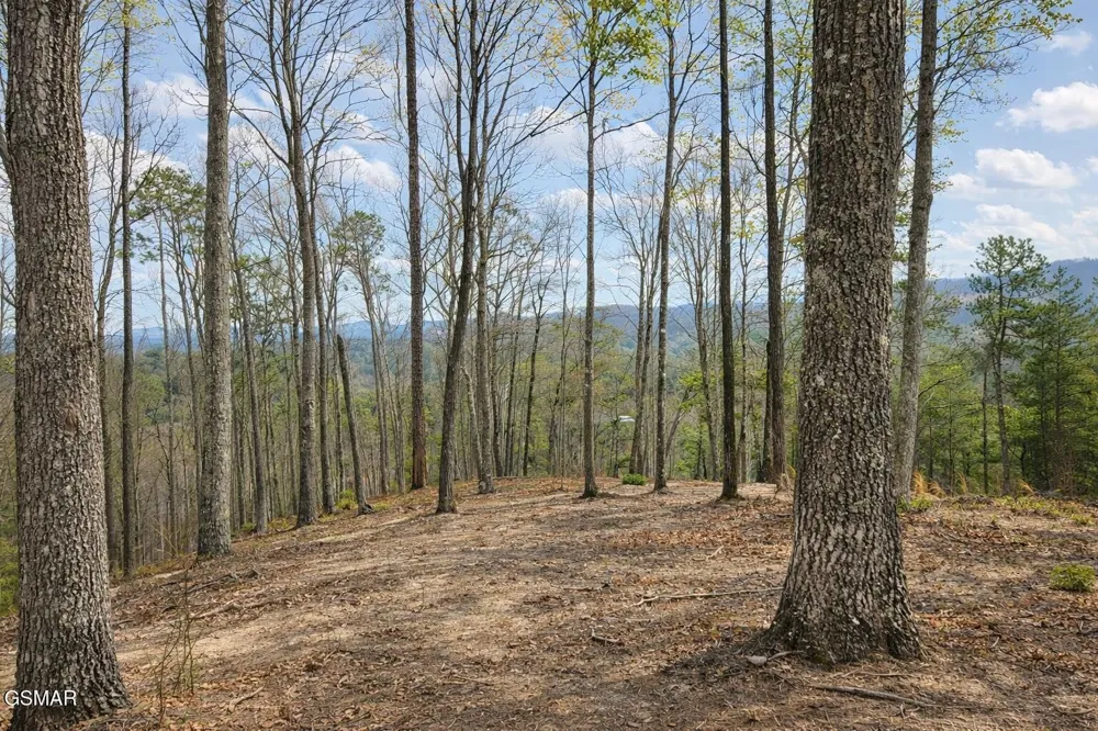 1 Sulpher Springs Way Sevierville, TN 37876