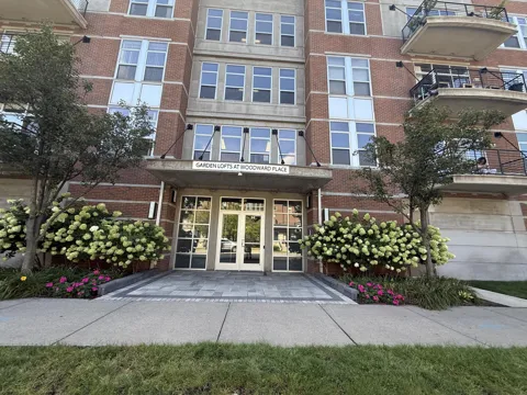 66 Winder Street #443