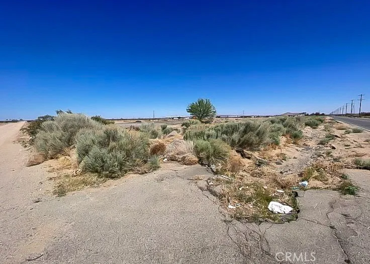11252 Cactus Adelanto, CA 92301
