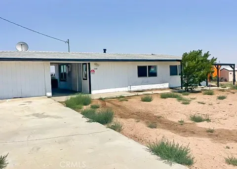 11252 Cactus
