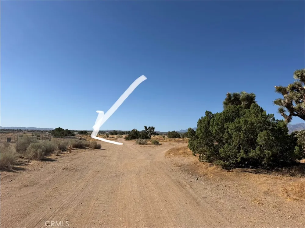 Vinton Phelan, CA 92371