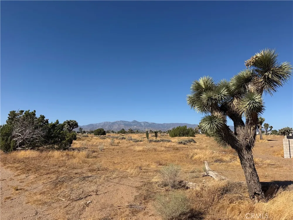 Vinton Phelan, CA 92371