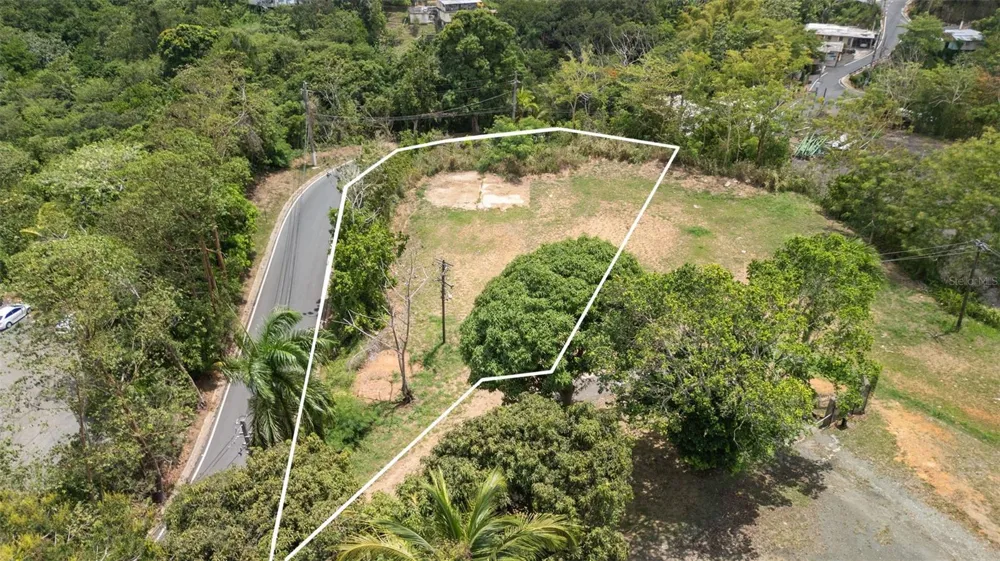 SR-835 MAMEYES WARD Guaynabo, PR 00969