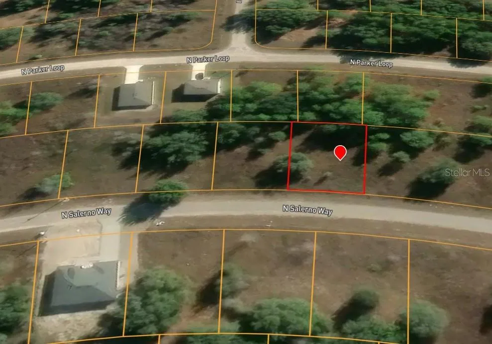 8085 SALERNO WAY Citrus Springs, FL 34434