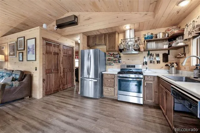 126 Aspen Circle Divide, CO 80814