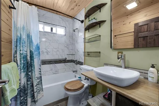 126 Aspen Circle Divide, CO 80814