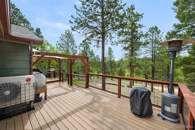 126 Aspen Circle Divide, CO 80814