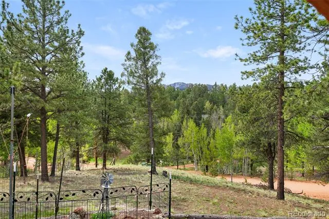 126 Aspen Circle Divide, CO 80814