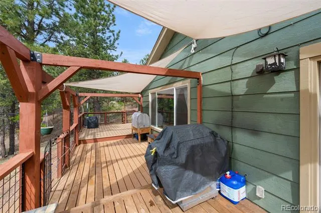 126 Aspen Circle Divide, CO 80814