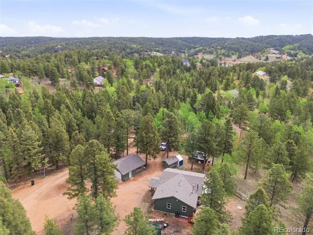 126 Aspen Circle Divide, CO 80814
