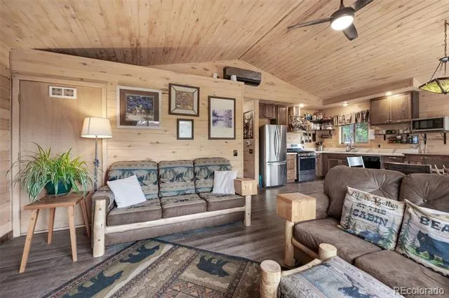 126 Aspen Circle Divide, CO 80814