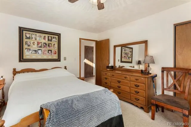 12775 W County Road 270 Nathrop, CO 81236