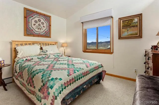 12775 W County Road 270 Nathrop, CO 81236