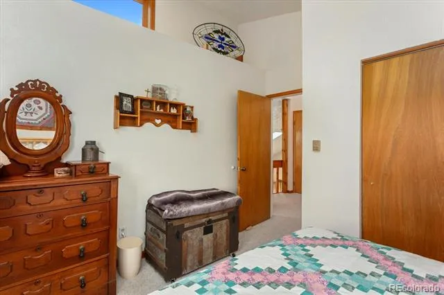 12775 W County Road 270 Nathrop, CO 81236