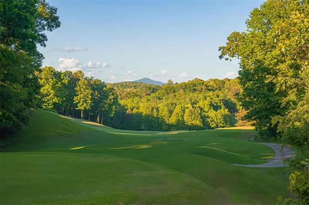 114 Northeast Cove Circle Dawsonville, GA 30534