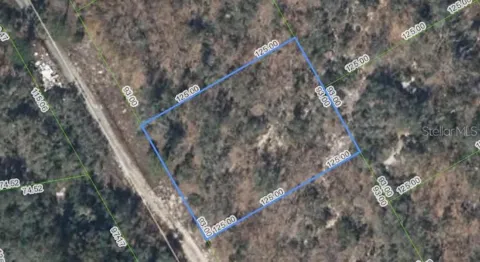 289 BLUE HORIZON DRIVE