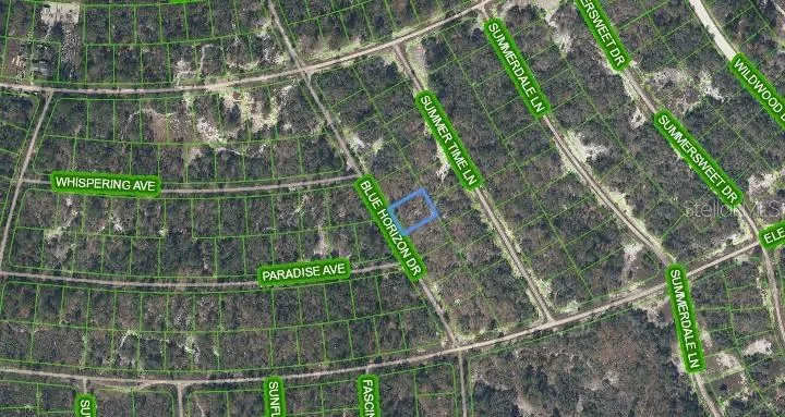 289 BLUE HORIZON DRIVE Lake Placid, FL 33852